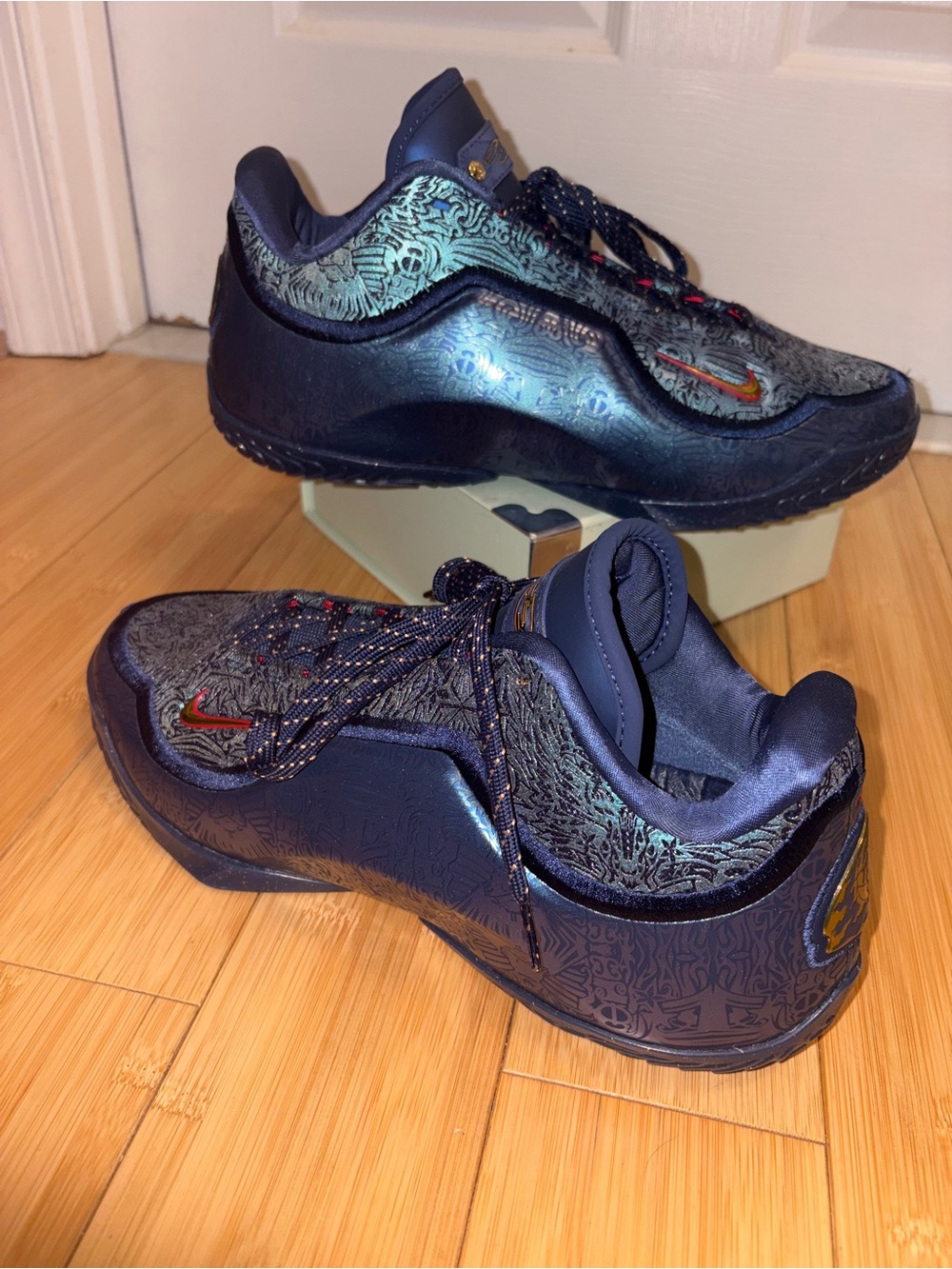 Nike LeBron XXIII "Out For Redemption"
Basketball Shoes, NEVER WORN!